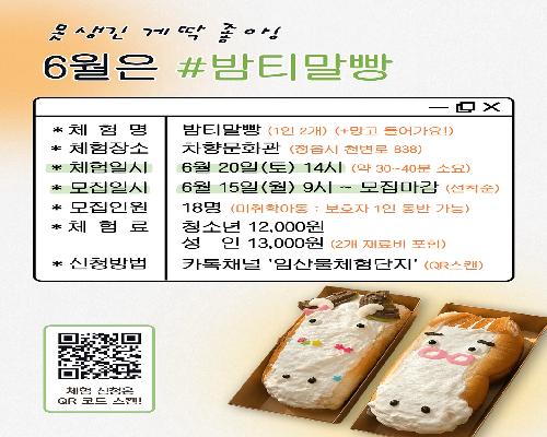 “새로운 빵 유행 맛본다” 정읍시 차향문화관, 밤티말빵 체험 15일부터 접수