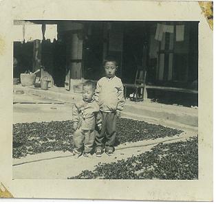 집앞 마당에서(1960년대)