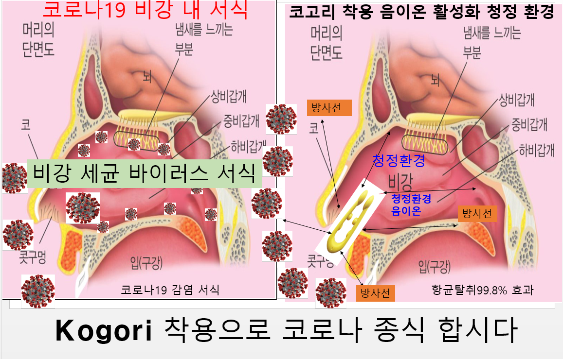 코로나19 종식 최초 선언   코바기 착용 종식한다