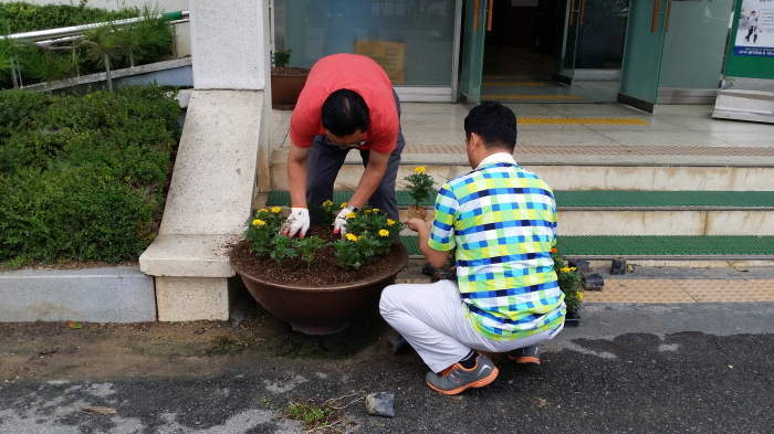 신태인읍 화단 꽃 식재 
