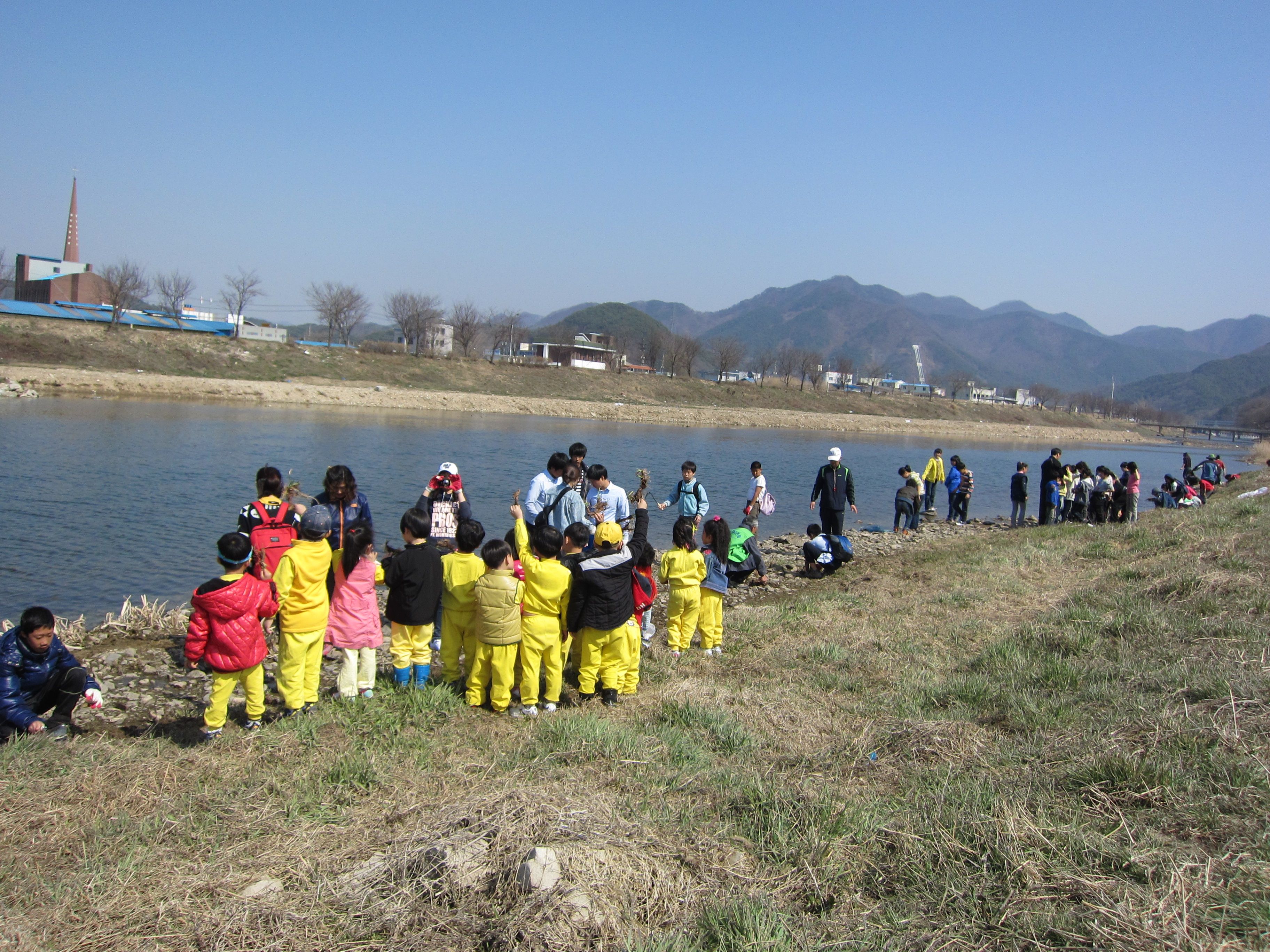 전북의 미래 새만금의 젖줄 동진강 생태하천 창포심기 운동 