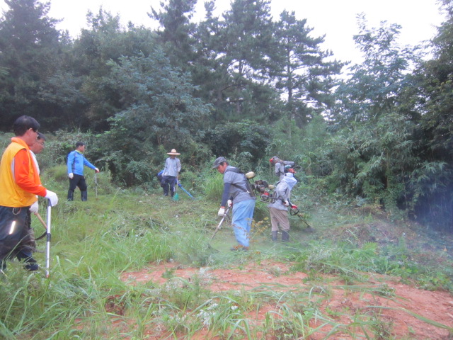 2013년 주민자치위원회 벌초봉사활동