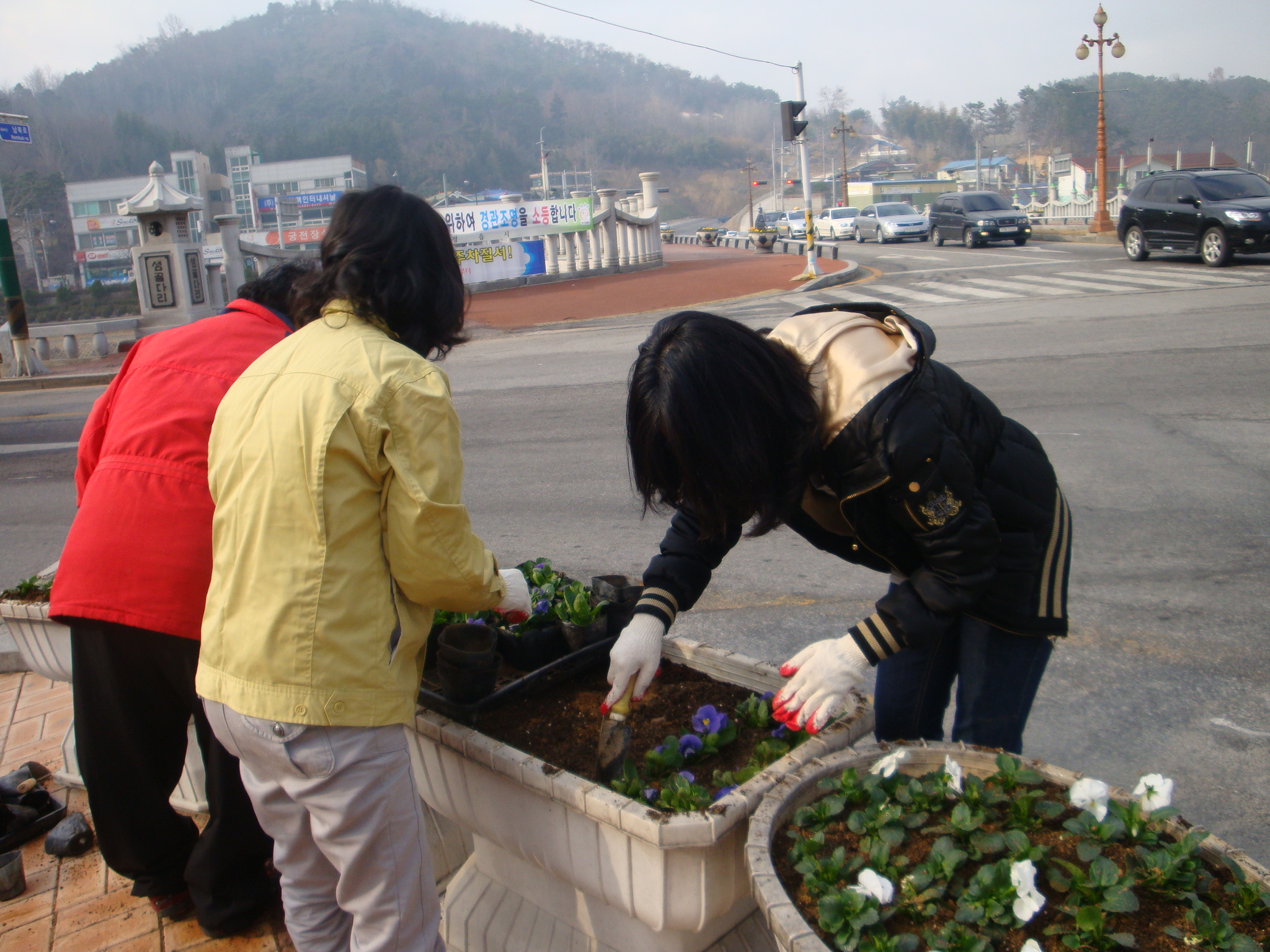 2011 식목일 행사 및 새봄맞이 도로변 꽃길조성(2)
