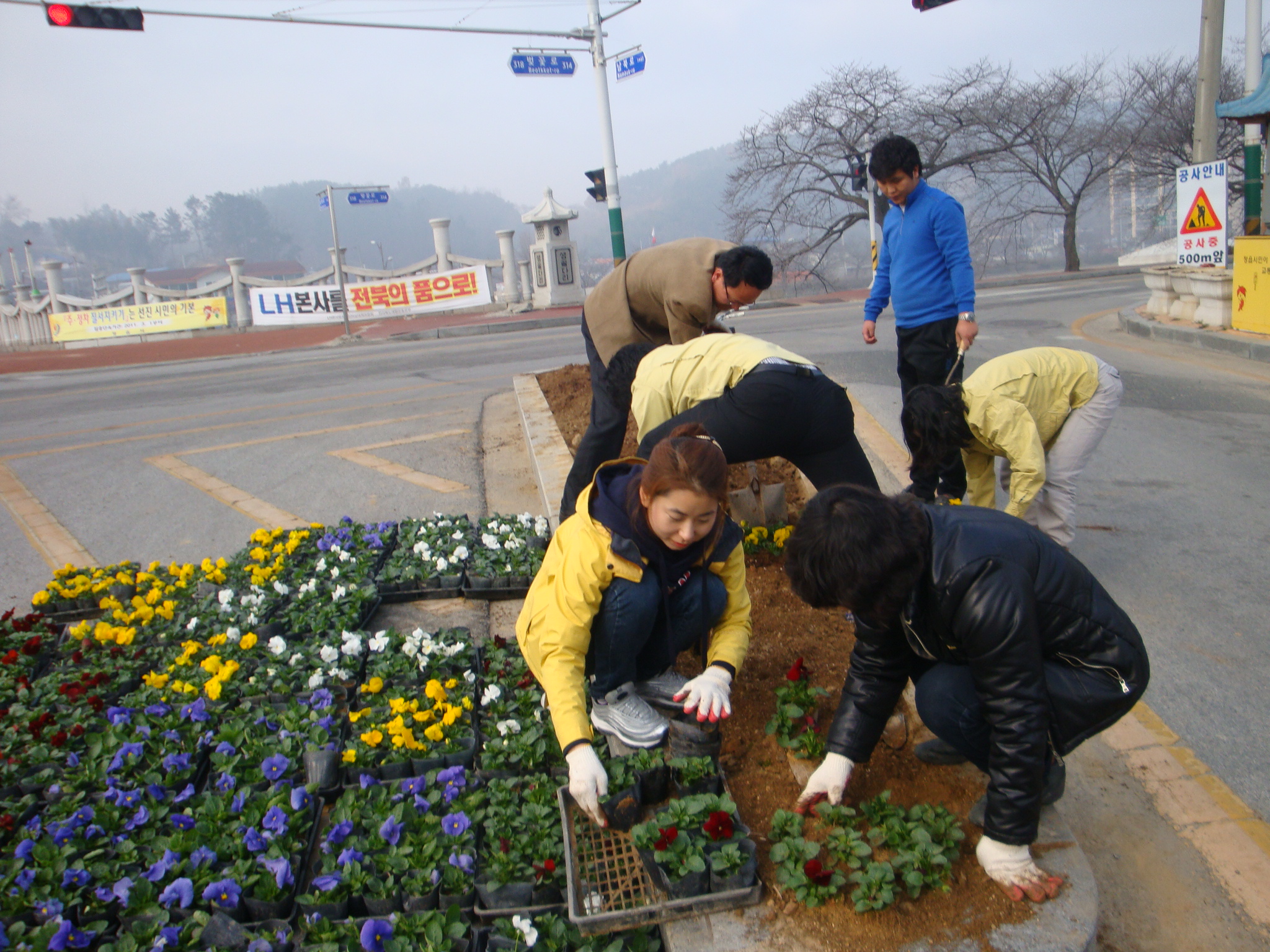 2011 식목일 행사 및 새봄맞이 도로변 꽃길조성(3)
