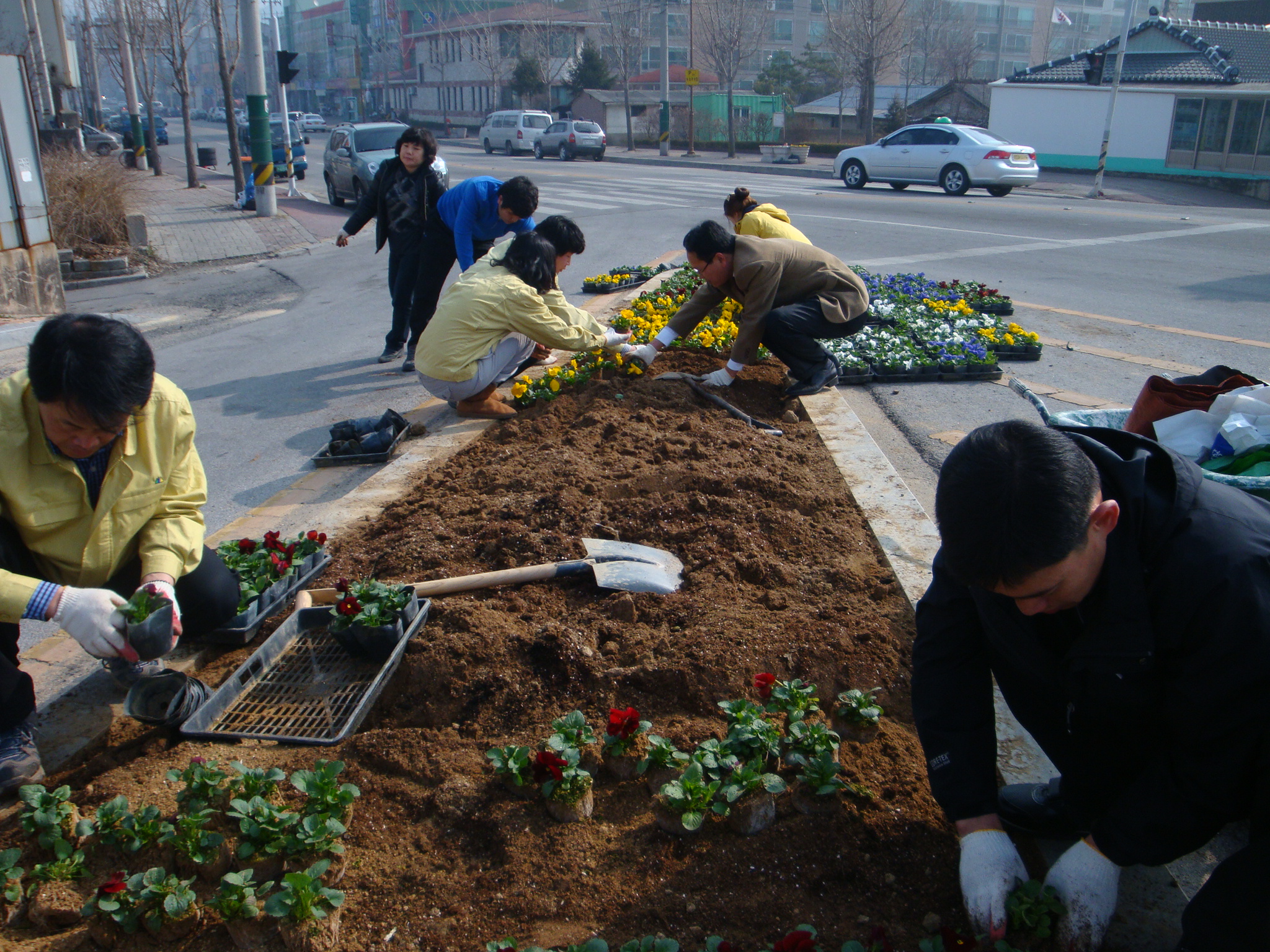 2011 식목일 행사 및 새봄맞이 도로변 꽃길조성(4)