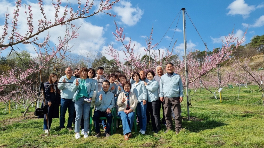 장명동주민자치회 「봄날 그리고 복사꽃」 복사꽃축제 행사