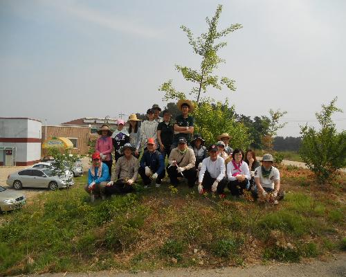 2011년 상반기 신태인읍 자원봉사활동사진