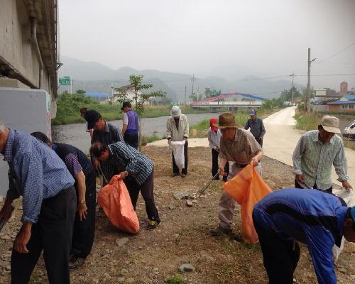 산외면 은빛봉사대 자연정화활동 실시