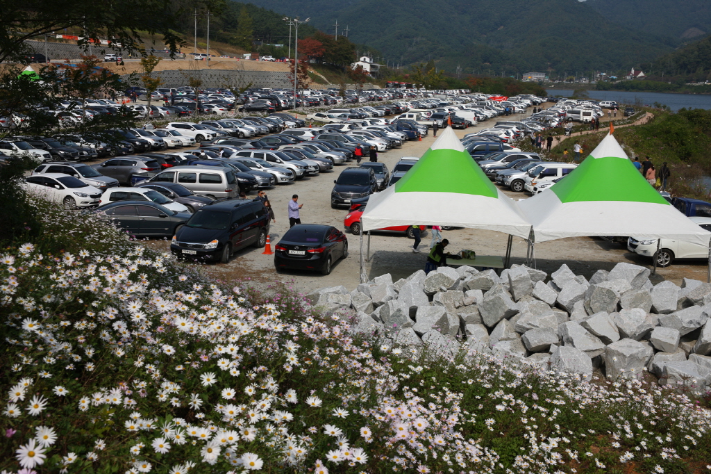 2018년 정읍구절초 꽃축제