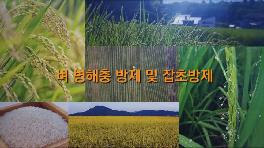 2022 새해농업인실용교육(벼 3편)-벼 병해충 방제 및 잡초방제