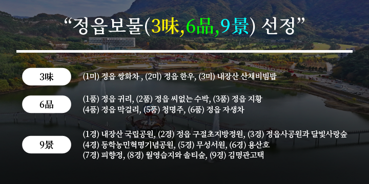 정읍보물(3味,6品,9景) 선정

3미
(1미) 정읍 쌍화차
(2미) 정읍 한우
(3미) 내장산 산채비빔밥
6품
(1품) 정읍 귀리
(2품) 정읍 씨없는 수박
(3품) 정읍 지황
(4품) 정읍 막걸리
(5품) 청명주
(6품) 정읍 자생차
9경
(1경) 내장산 국립공원
(2경) 정읍 구절초지방정원
(3경) 정읍사공원과 달빛사랑숲
(4경) 동학농민혁명기념공원
(5경) 무성서원
(6경) 용산호
(7경) 피향정
(8경) 월영습지와 솔티숲
(9경) 김명관고택