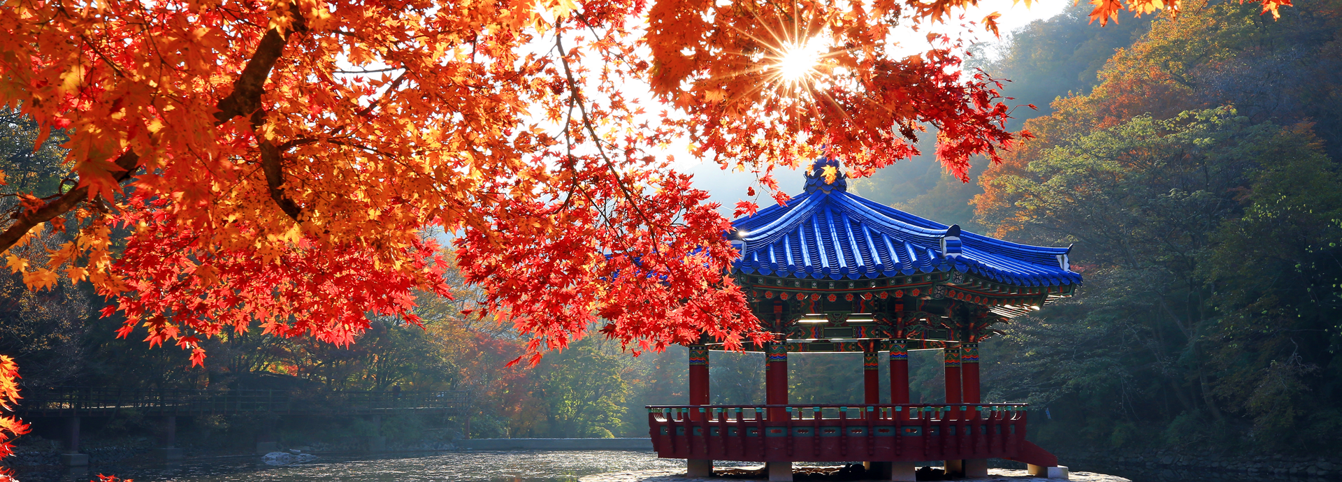 1경 내장산단풍터널