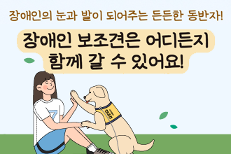 장애인의 눈과 발이 되어주는 든든한 동반자!
장애인 보조견은 어디든지 함께 갈 수 있어요!