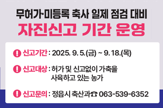 무허가·미등록 축사 일제 점검 대비 자진신고 기간 운영
 ❍ 신고기간 : 2025. 9. 5.(금) ~ 9. 18.(목)
 ❍ 신고대상 : 허가 및 신고없이 가축을 사육하고 있는 농가
 ❍ 신고문의 : 정읍시 축산과☎ 063-539-6352