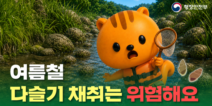 여름철 다슬기채취 사고예방